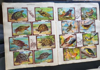 Álbum Chocolates Kike Zoología Tomo II