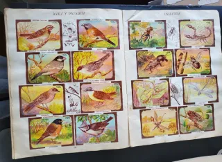 Álbum Chocolates Kike Zoología Tomo II