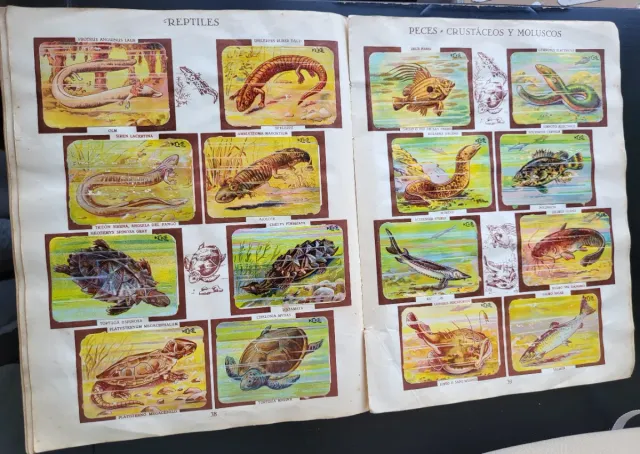 Álbum Chocolates Kike Zoología Tomo II