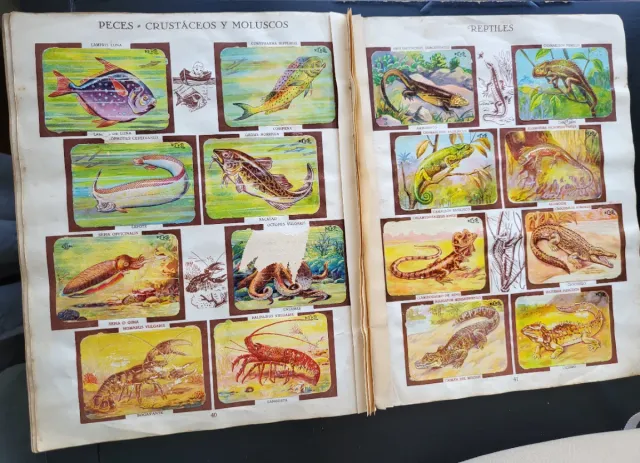 Álbum Chocolates Kike Zoología Tomo II