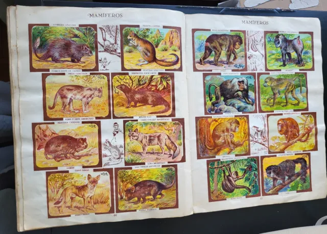 Álbum Chocolates Kike Zoología Tomo II