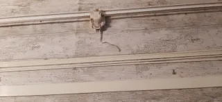 Riel para estor 145x175cm