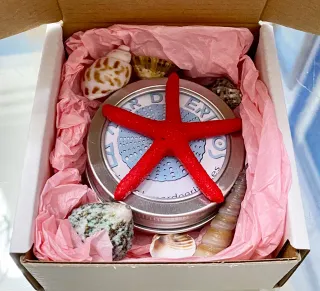 Collar Plata Erizo Mar N6