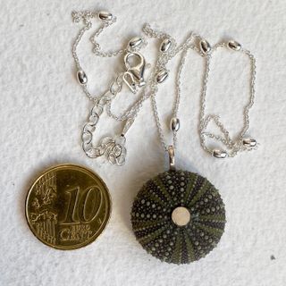 Collar Plata Erizo Mar N6