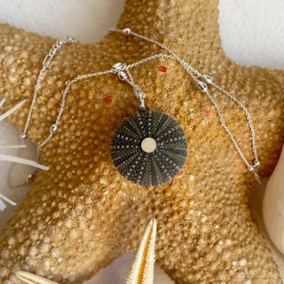 Collar Plata Erizo Mar N6