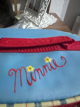 Neceser Disney Minnie Mouse Rojo