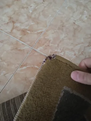 Alfombra verde y beige