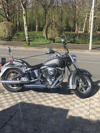 Harley-Davidson Heritage Softail ClassicNegra/Gris