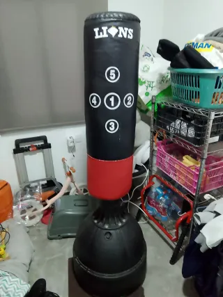 Saco de boxeo LIONS artes marciales