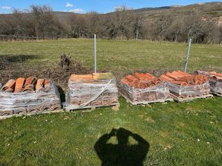 Teja Árabe Antigua (más de 50 años)