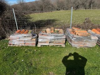 Teja Árabe Antigua (más de 50 años)