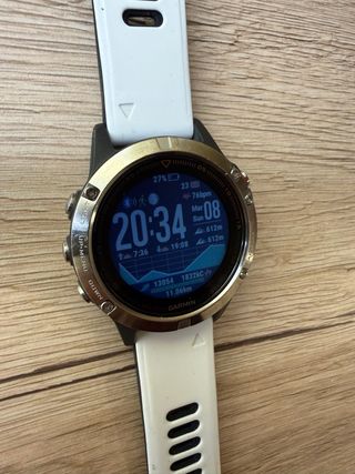 Garmin Fenix 5 Smartwatch + Cinghie