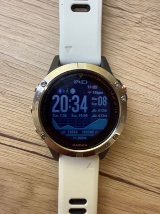 Garmin Fenix 5 Smartwatch + Cinghie