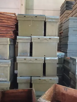 Núcleos de cría Dadant 5 cuadros