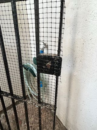 Puerta de hierro con malla