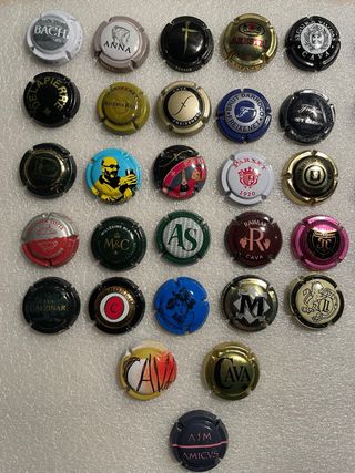 Serie de 28 Chapas Cava Comunes y Especiales