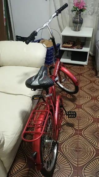 Bicicleta Plegable Roja