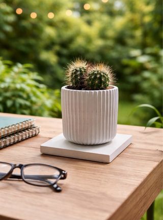 Juego 2 macetas y bases de cemento y yeso