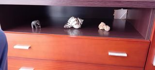 Conjunto comedor madera y cristal