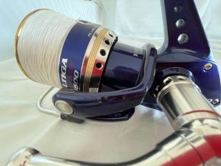 Carrete Daiwa Saltiga Expedition Z6500