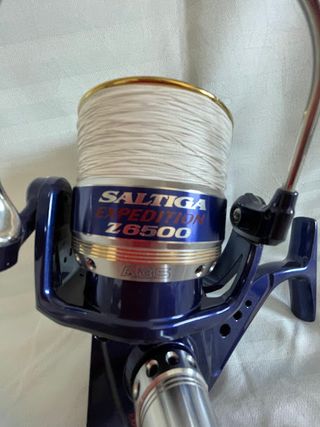 Carrete Daiwa Saltiga Expedition Z6500