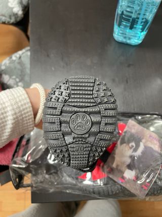 Zapatos para Perros Rojos y Negros