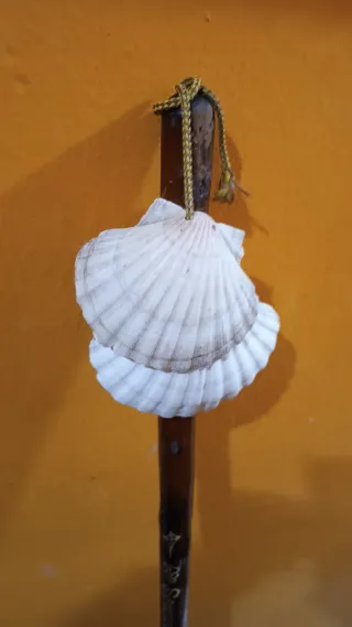 Bastón de peregrino con conchas