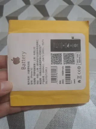 Batteria iPhone 5G Apple