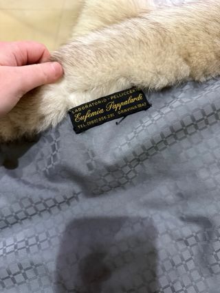 Pelliccia vera volpe Groenlandia