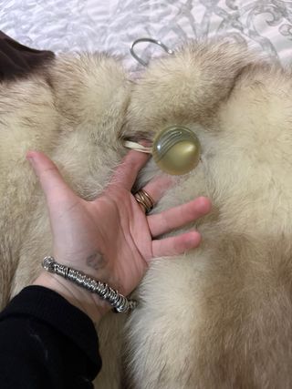 Pelliccia vera volpe Groenlandia