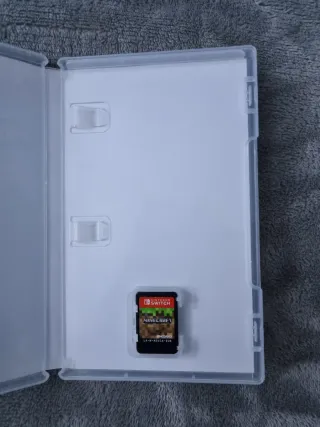 Minecraft per Nintendo Switch