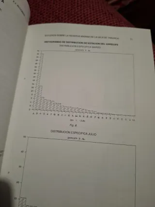 Estudios sobre la reserva marina Isla de Tabarca