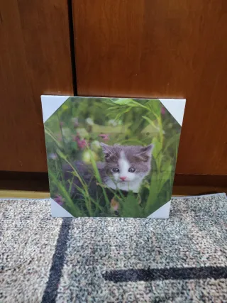 Cuadro decorativo gatito