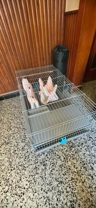 Jaula para mascotas