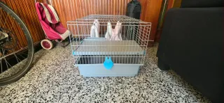 Jaula para mascotas