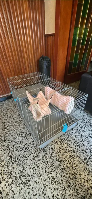 Jaula para mascotas