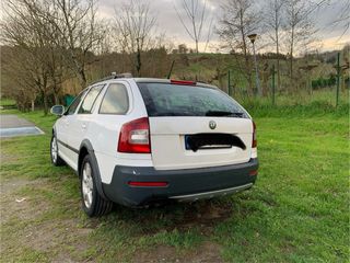 Skoda Scout 2.0 TDI 4x4 5p