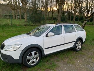 Skoda Scout 2.0 TDI 4x4 5p