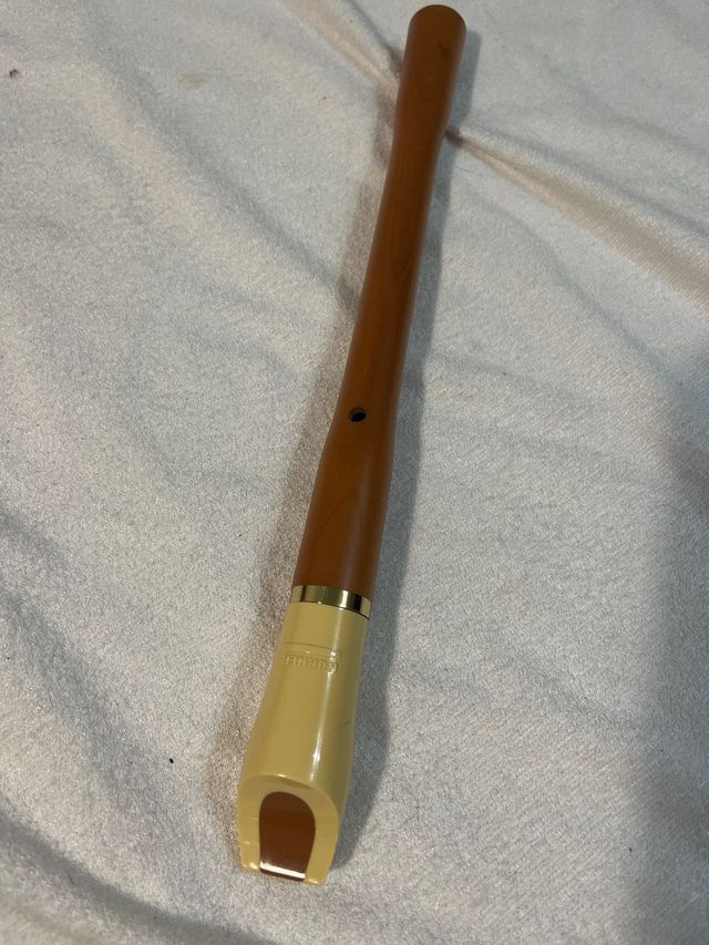 Flauta dulce soprano Hohner con funda