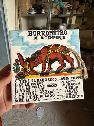 Azulejo decorativo Burrometro