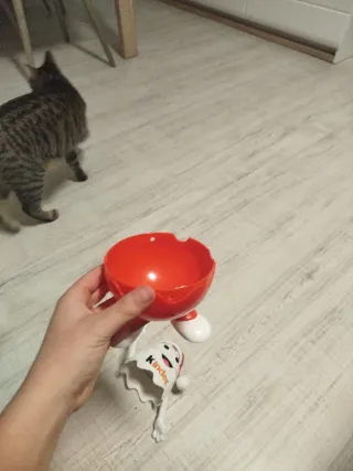 Hucha Kinder Plástico