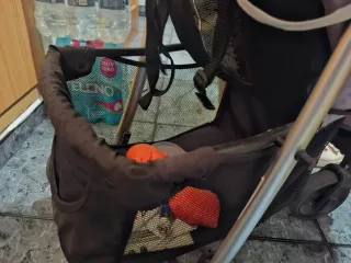 Silla de paseo Asalvo