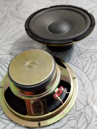 Altavoces 6.5 pulgadas Antiguos.