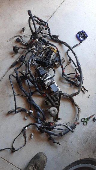 Despiece Gilera Nexus 500 (2005)