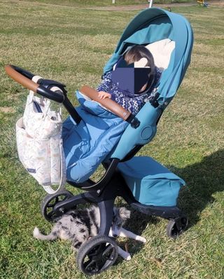 Carrito Bebé Stokke Xplory Cool Teal