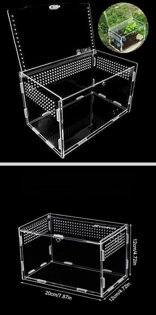 Caja insectos metacrilato 20x12x12