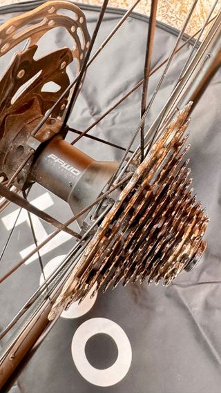 Ruedas FFWD RYOT 55 Carbono