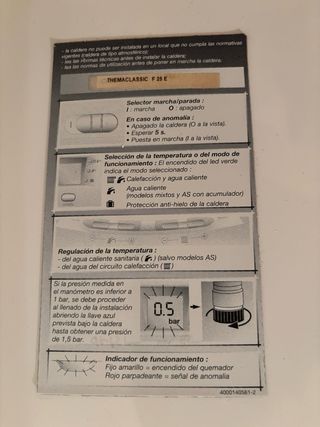 Caldera Saunier Duval Estanca