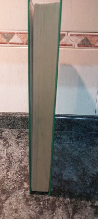 Libro de taller Renault Megane Scenic II