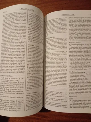 La Biblia didáctica, editorial SM